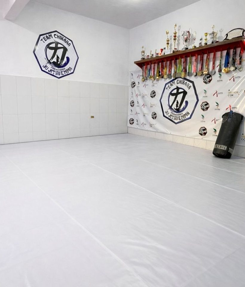 team chikara dojo